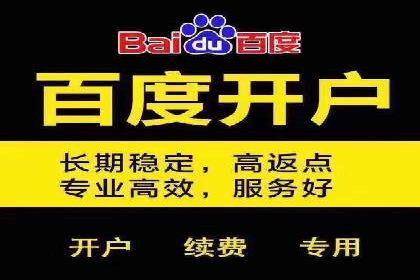 SEM推广策略：成功案例分享与优化技巧