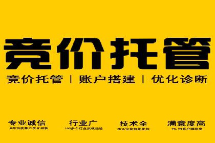 案例分享：专业SEM托管助力企业快速拓展市场